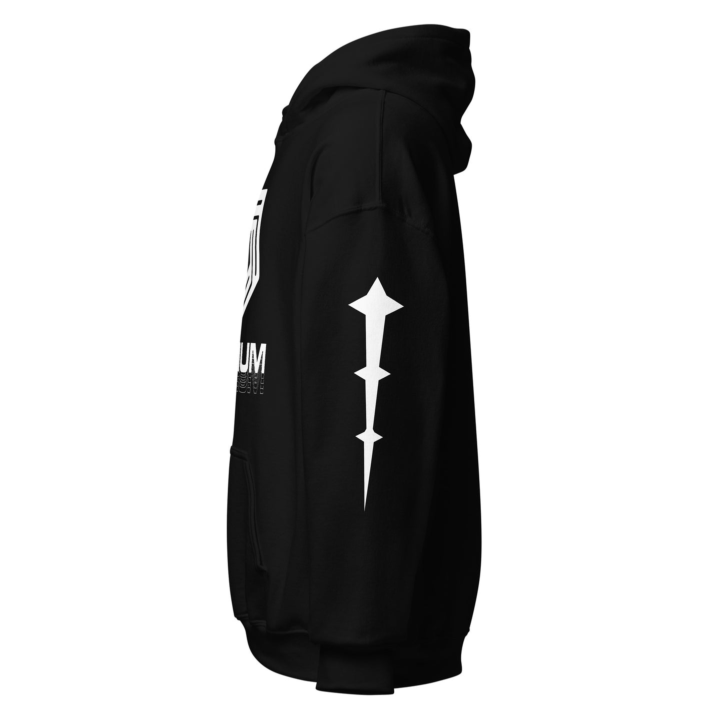 Beneath Omnium logo Hoodie